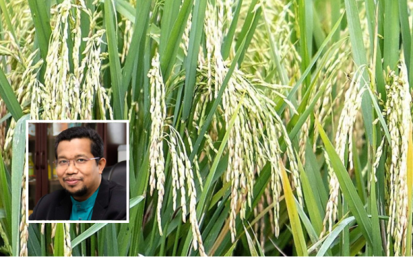 Gambar hiasan. Gambar kecil: Ahmad Tarmizi