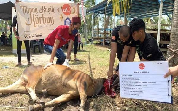 Muhd Mahuuzh Said (tengah) sewaktu sembelihan lembu korban pada Aidiladha yang ditempah pelanggan tahun lalu.