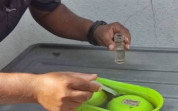 Pegawai penguat kuasa MPK mengambil sampel jentik-jentik untuk mengenalpasti jenis nyamuk yang membiak di tempat takungan air.