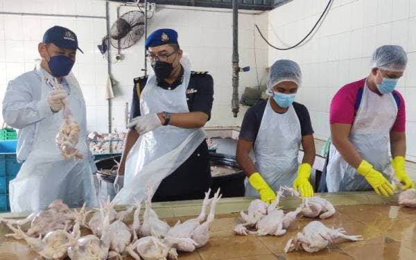 Saharuddin (kiri) melihat ayam proses di pusat pemborong ayam di Kuala Nerus, Terengganu pada Selasa.