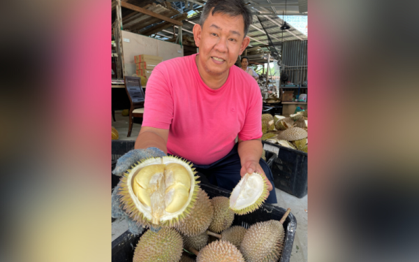 Durian tuhan kasi kini semakin dikenali dalam kalangan penggemar durian.
