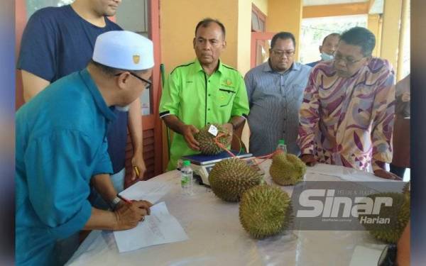 Mohd Adzhar (kanan) turut menjadi juri pertandingan durian yang diadakan sempena Mesyuarat Agung Tahunan Persatuan Pekebun Durian Negeri Perak, di Dewan Komuniti Taman Meru, di sini pada Sabtu.
