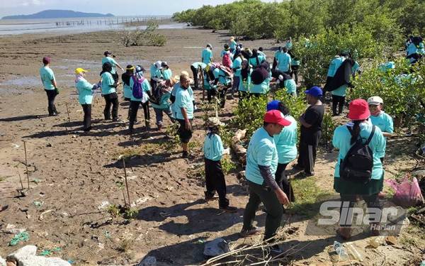 Antara peserta yang terlibat dalam aktiviti penanaman anak pokok bakau di pesisiran Sungai Udang, Yan.