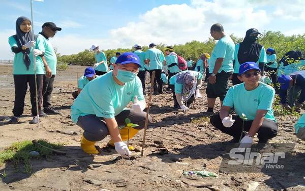 Robert Ling turut menanam anak pokok bakau ketika Program Kesedaran Komuniti Terhadap Pencegahan Pembakaran Terbuka di Komuniti Nelayan Sungai Udang, Yan pada Sabtu.