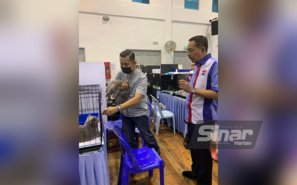 Muhamad Zaki (kanan) melihat kucing yang dipertandingkan dalam Kelantan Superstar Fun Cat Show pada Sabtu.