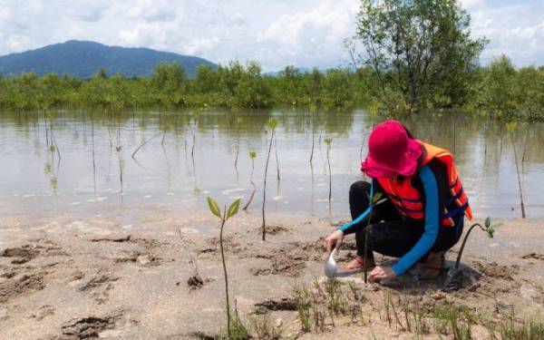 Gambar hiasan - Foto 123RF