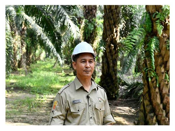 Amiruddin Abu Kassim