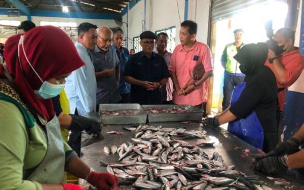 Menteri Pertanian dan Industri Makanan, Datuk Seri Dr Ronald Kiandee (tengah) melihat proses membersihkan ikan di Kompleks Syarikat Gelombang Utama Sdn Bhd di Tok Bali, Pasir Puteh.