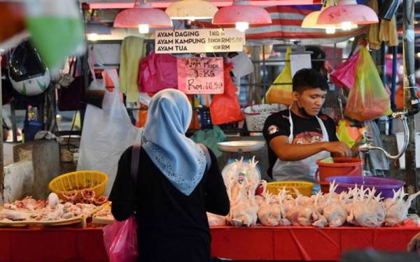 Cadangan harga siling baharu ayam antara RM10 hingga RM10.50 sekilogram disifatkan adil bagi pengusaha ayam setelah mengambil kira pelbagai faktor. - Foto Bernama