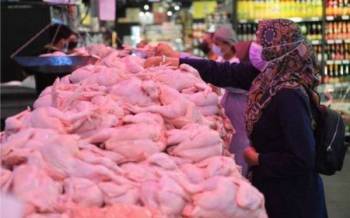 Mesyuarat Jemaah Menteri mengambil keputusan untuk meneruskan subsidi dan menetapkan harga siling runcit ayam standard pada RM9.40 sekilogram. - Gambar hiasan