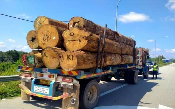 Anggota Unit Operasi JPJ Pahang melakukan pemeriksaan ke atas sebuah lori balak dalam Ops Khas Lebih Muatan Lori Balak yang dijalankan di seluruh negeri pada Selasa lalu. - Foto JPJ Pahang