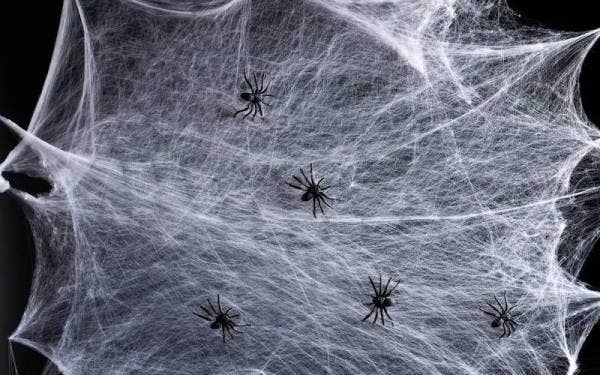 Sepasukan penyelidik dari University of Queensland telah membangunkan satu kaedah rawatan baharu untuk merawat serangan jantung diperbuat daripada bisa labah-labah. - Gambar hiasan Foto 123RF