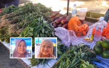 Antara sayur kampung yang turut mengalami kenaikan harga. (Gambar kecil dari kiri: Mazidah Said, Kamariah Hassan)