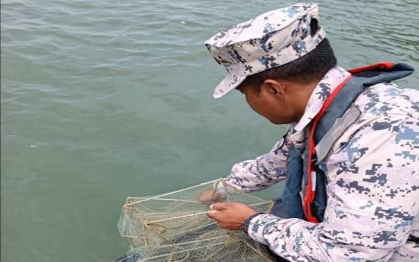 Penguat Kuasa Maritim Pulau Pinang sedang memeriksa bubu naga yang ditemui pada petang Isnin.