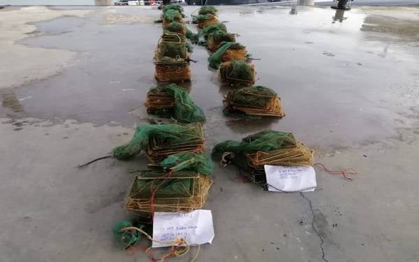 Kesemua set bubu naga dirampas dibawa ke Jeti Polis Marin Batu Uban untuk tindakan lanjut.