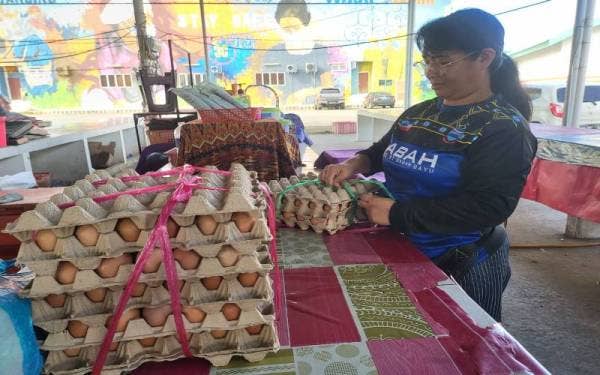 Rumia menyusun telur ayam yang dijualnya di Pasar Am Putatan, Putatan.