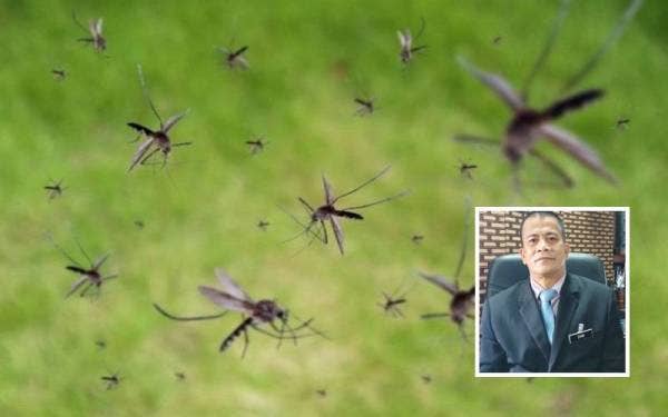 Jangkitan malaria monyet atau nama saintifiknya Malaria Knowlesi adalah melalui gigitan nyamuk spesies Anopheles (tiruk) dan penyakit itu juga dikategorikan sama bahaya dengan demam denggi. Foto: 123RF/Gambar kecil: Dr Zaini