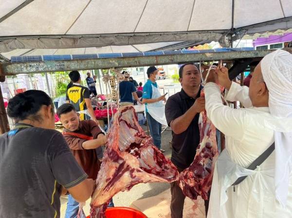Aktiviti melapah daging dilakukan secara bergotong-royong.
