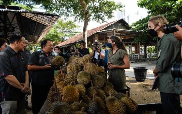 GEORGE TOWN, 15 Julai -- Ketua Pengarah Tourism Malaysia Datuk Zainuddin Abdul Wahab (dua, kiri) berbual dengan pengunjung yang hadir Lindsay Gasik, 33, (dua, kanan) dan Richard Koivusalo, 35, (kanan) pada Majlis Pelancaran Pakej Durian Tourism 2022 hari ini.
Tourism Malaysia melancarkan promosi diskaun 10% bagi Pakej Durian Tourism dalam usaha memeriahkan dan mempromosikan musim durian di negeri di Wilayah Utara.
Kempen yang berlangsung dari 1 Julai sehingga 31 Ogos itu merupakan kerjasama antara Tourism Malaysia dengan lima pengendali pelancongan iaitu Kurma Travel & Tours Sdn. Bhd, Adventure360 Tours Sdn. Bhd, Time Free Vacation Sdn. Bhd, M.Maha-Izah Transport & Tours Sdn. Bhd dan Asia Gateway Tours.
-- fotoBERNAMA (2022) HAK CIPTA TERPELIHARA