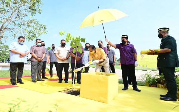 Sultan Sallehuddin berkenan mencemar duli menanam pokok Merbau pada Program Penanaman Pokok Sempena Sambutan Hari Hutan Antarabangsa 2022 di Jitra. Turut kelihatan Muhammad Sanusi (lima kiri).