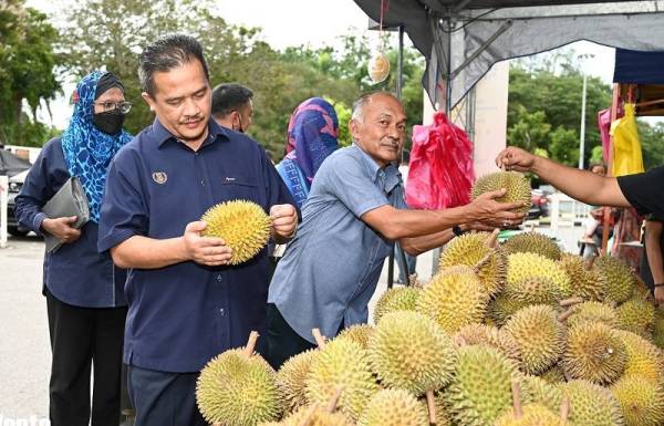 Azman (kiri) melihat kualiti buah durian kampung yang dijual di Pesta Durian Kedah.