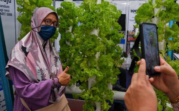 Pengunjung tidak melepaskan peluang bergambar berlatarbelakangkan salad yang ditanam melalui kaedah hidroponik yang dipamerkan di reruai Kementerian Pertanian dan Industri Makanan. - Foto Bernama