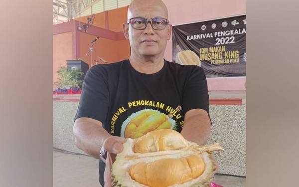Aznel menunjukkan isi buah durian hitam yang banyak ditanam di Pengkalan Hulu.
