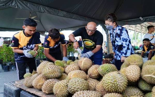 Aznel (tengah) melihat bekalan durian yang disediakan dalam Karnival Pengkalan Hulu dan Jom Makan Musang King di Dataran Arena Pengkalan Hulu pada Ahad.