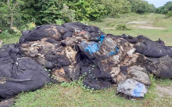 Longgokan bahan buangan yang disyaki buangan terjadual.