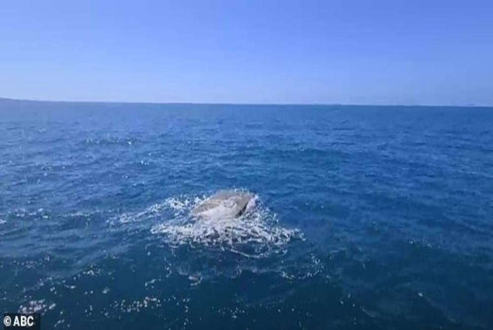 Satu kotak misteri ditemui di Teluk Carpenteria, Australia baru-baru ini. - Foto ABC