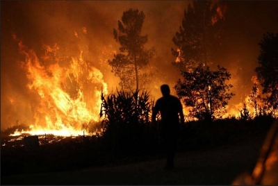 Menurut data yang dikumpul oleh satelit Copernicus pada Sabtu, kira-kira 230,000 hektar tanah terbakar dalam kebakaran hutan pada musim panas paling kering yang dialami Sepanyol tahun ini. - Foto Reuters