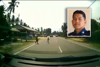 Siasatan awal semasa kejadian mendapati kanak-kanak berkenaan merentap tangan dan terlepas dari pegangan seorang lelaki dewasa tersebut, kemudian berlari melintasi laluan sehingga menyebabkan kemalangan.