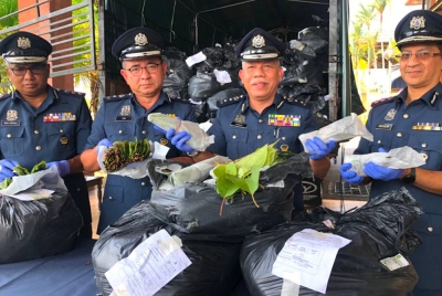 Pengarah JKDM Kelantan, Mohd Nasir Deraman (dua dari kanan) menunjukkan daun ketum yang dibawa menggunakan lori dari Kedah ke Kelantan oleh seorang lelaki berusia 22 tahun selepas sidang media pada Khamis.