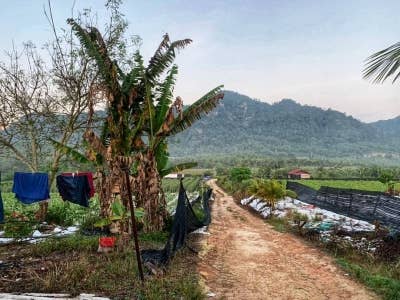 Lokasi kejadian pergaduhan di sebuah kebun sayur dekat Lebu, Bentong yang menyebabkan seorang pekerja kebun maut pada awal pagi Rabu. - Foto Ihsan PDRM