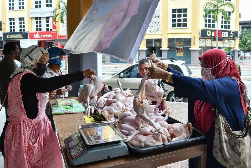 Orang ramai mendapatkan ayam segar pada harga RM6.50 sekilogram menerusi Program Jualan Murah Keluarga Malaysia (PJMKM) di Pasar Mini 9 Mart, Kampung Ladang Tok Pelam hari ini.  Orang ramai dapat melakukan penjimatan sebanyak RM1.70 menerusi program tersebut sekaligus dapat mengurangkan beban rakyat berpendapatan B40.  