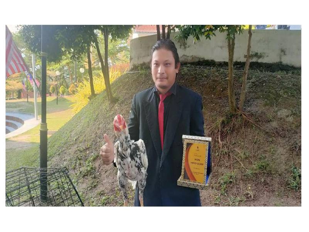 Mohammad Asyraf bersama seekor ayam ratu yang diternak dan dibawa pada majlis itu.