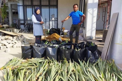 Izudin (kanan) memilih nanas kerana mudah dijaga.