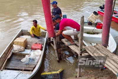 Lebih 75 nelayan darat yang berdaftar menggunakan jeti nelayan Sungai Galah, Kampung Gajah untuk menjual hasil tangkapan.