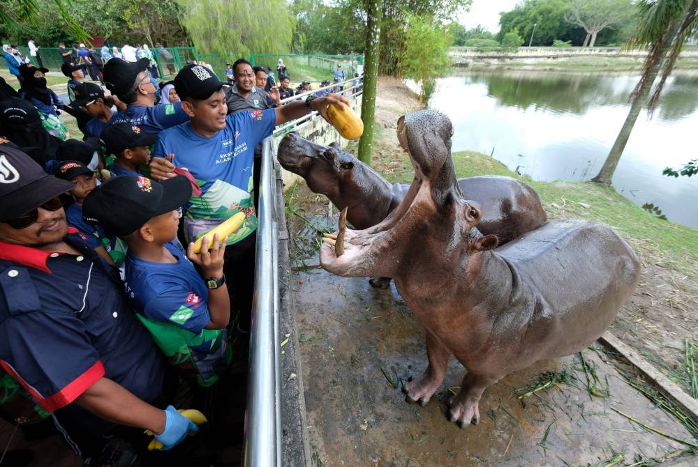 Seramai 100 orang murid tahap dua dari empat buah sekolah rendah menyertai program rintis "Eksplorasi Alam Lestari Siri Kedua" di Paya Indah Wetland hari ini.  Program rintis di bawah inisiatif Sekolahku Sejahtera: Cinta Alam, bertujuan memberi pendedahan mengenai pemulihan hidupan liar dan melahirkan ganerasi yang cinta akan alam sekitar.