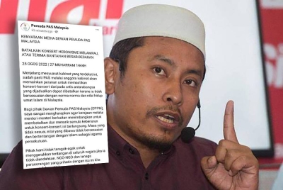 Ahmad Fadhli Shaari, tangkap layar kenyataan Ahmad FaAdhli yang dimuat naik di laman Facebook Pemuda Pas.