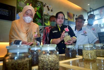 Menteri Perusahaan Perladangan dan Komoditi Datuk Zuraida Kamaruddin (kiri) melihat produk SaraSpice selepas merasmikan produk itu di pejabat baru SaraSpice, pada Khamis. - Foto Bernama 
