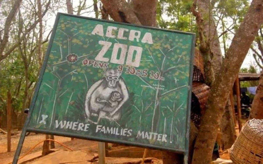 Seorang lelaki diserang seekor singa di Zoo Accra pada Ahad. - Foto Facebook