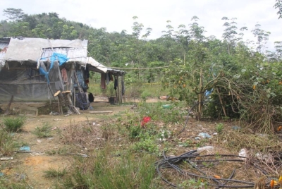 Lokasi mayat tukang kebun dipercayai dibunuh di sebuah kebun betik dekat Kampung Dalam Wang, Baling pada Ahad.