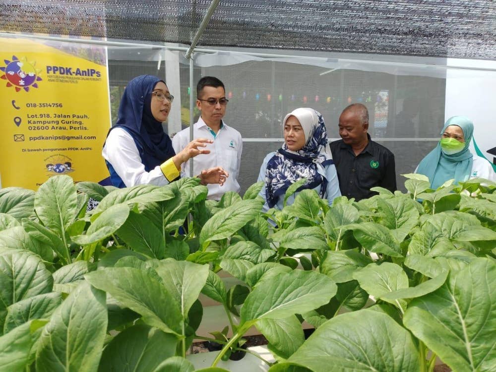 Nazmin (kiri) menerangkan tentang tanaman hidroponik yang diusahakan remaja istimewa PeSTeC kepada Rozieana (tiga dari kanan) dan Zulkifli (empat dari kanan)