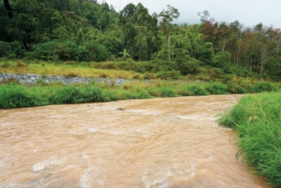 Gambar hiasan - Foto 123RF
