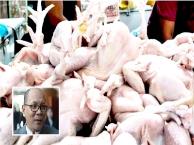 Kerajaan akan terus memberi keutamaan dalam memastikan bekalan ayam bagi pengguna domestik adalah mencukupi. - Gambar hiasan (Gambar kecil :Izham) 