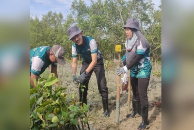 Ahmad Rizal (dua dari kanan) menanam pokok bakau pada Program Penanaman Pokok Bakau KDEBWM, LHDN dan Jabatan Perhutanan Selangor di Hutan Simpan Kuala Bernam, Teluk Rhu Sungai Apong di sini pada Rabu.