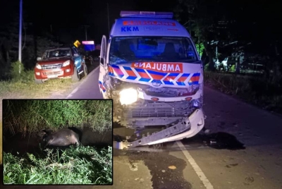 Ambulans terbabas selepas terbabit dalam kemalangan di Jalan Kesapang, Kota Belud.