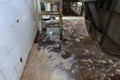 Pusat penyembelihan ayam beroperasi dalam keadaan kotor dengan keadaan lantai dipenuhi sisa ayam di bahagian pemprosesan.