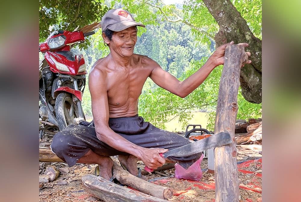 GUA MUSANG, 19 Sept -- Orang Asli Suku Kaum Bateq, Zakaria Abdullah, 55, mengikis batang Raja Kayu yang telah siap dipotong untuk mendapatkan teras batang kayu tersebut ketika ditemui pemberita di kediamannya di Kampung Pasir Linggi, Pos Lebir di sini.
-- fotoBERNAMA (2022) HAK CIPTA TERPELIHARA